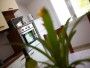 Appartement Boskovic 2