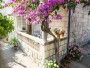 Appartement Fabri 1