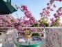Appartement Fabri 2